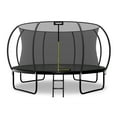 thumbnail image 1 of LeJump Outdoor 14FT Inside Net Trampoline with Enclosure Net and Ladder, Black, 1 of 8