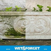 Wet & Forget Outdoor Moss, Mold, Mildew, Algae Stain Remover Multi-Surface Cleaner, Ready to Use, 64 Fluid Ounces, 4 Pack