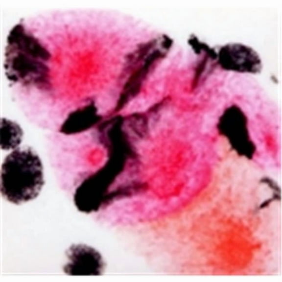 True Flow Non-Toxic Crystal Magic Glaze - 1 Pt. - Poppy Fields