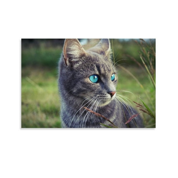 Gray Cat With Ice Blue Eyes Poster Decorative Painting Canvas Wall Art Living Room Posters Bedroom Painting,Unframe-style,08x12inch(20x30cm)