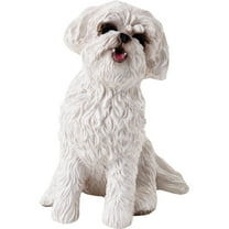 Sandicast Bichon Frise