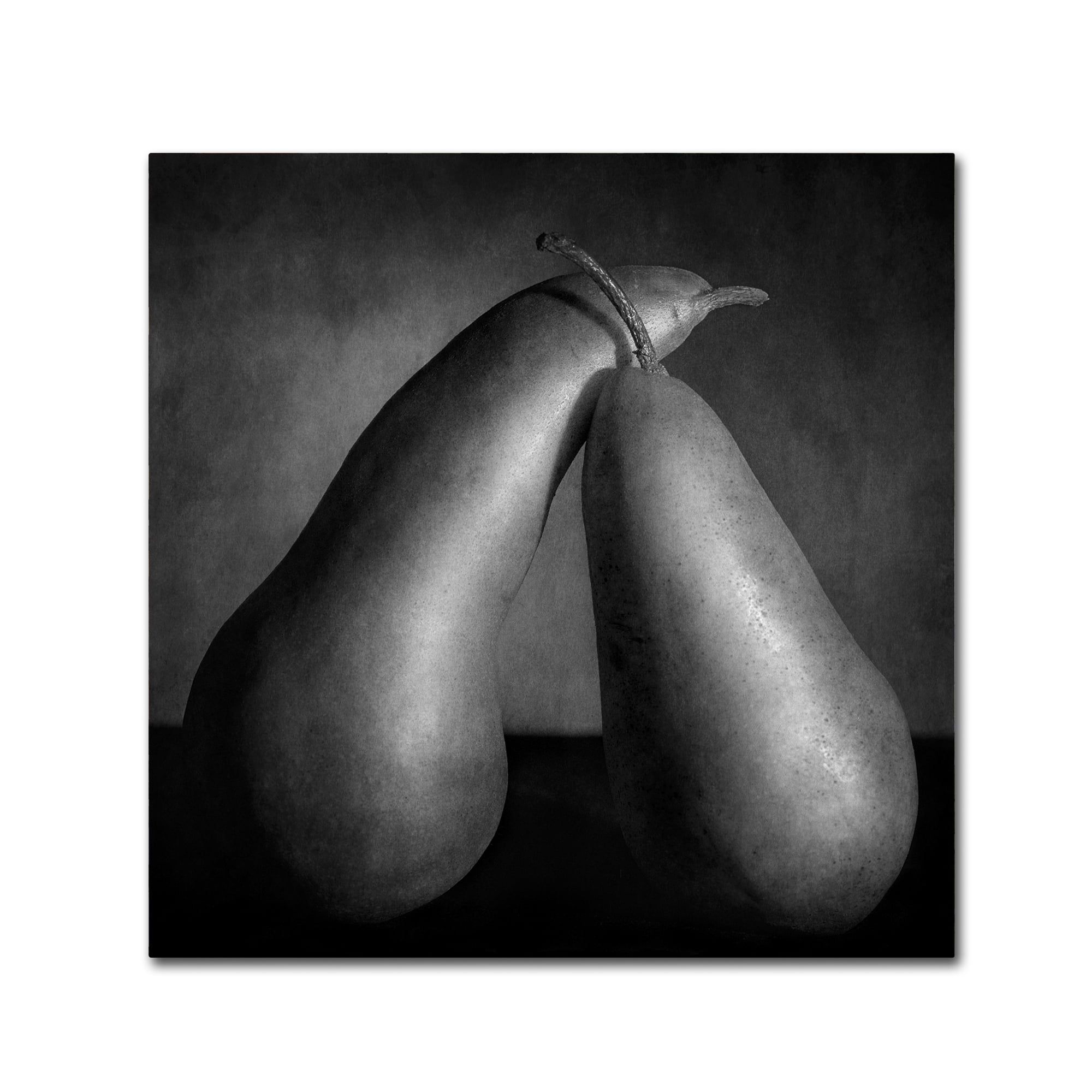Trademark Fine Art "Peras Tiernas" Canvas Art by Moises Levy