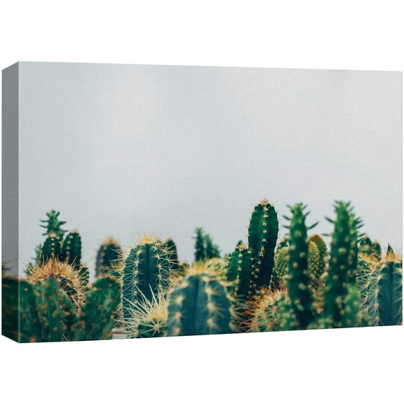 wall26 Canvas Print Wall Art Green Desert Cactus Variety Floral Plants Photography Realism Rustic Scenic Colorful Multicolor Ultra for Living Room, Bedroom, Office - 24"x36"