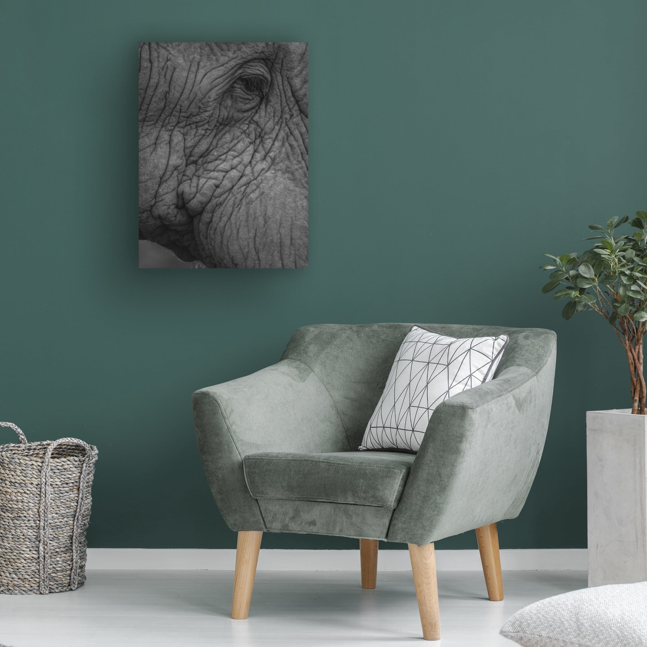 Trademark Fine Art Shot by Clint Olifant 01 Canvas Wall Art