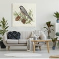thumbnail image 3 of Stupell Industries Bird on Pine Tree Animals & Insects Painting Gallery Wrapped Canvas Print Wall Art, 36 x 36, 3 of 8
