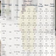 thumbnail image 3 of Hvogkswy Boys Girls Sweatsuit Solid Kids Sweat Suits Long Sleeve Crewneck Pullover Sweatshirt & Jogging Pant Fall Fashion Tracksuits, 3 of 9