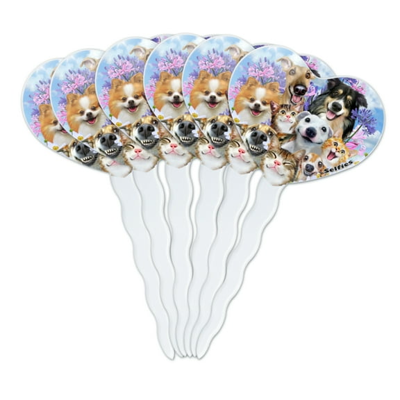 Dogs Cats Fun in the Sun Selfie Heart Love Cupcake Picks Toppers Decoration Set of 6