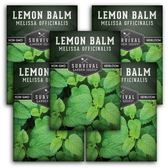 5 Packs Lemon Balm - Non-GMO Heirloom Herb Seeds - Full Sun Perennial