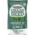 thumbnail image 1 of Pennington Graines d'Herbe KY31 TF 40# (Lot de 1), 1 of 1
