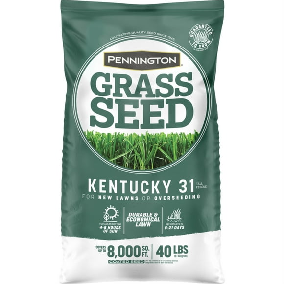 Pennington Graines d'Herbe KY31 TF 40# (Lot de 1)