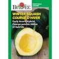 thumbnail image 1 of Burpee Early Acorn Hybrid Winter Squash, Plant Seeds for Home Garden, 1 of 4