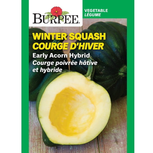 Burpee Early Acorn Hybrid Winter Squash, Plant Seeds for Home Garden