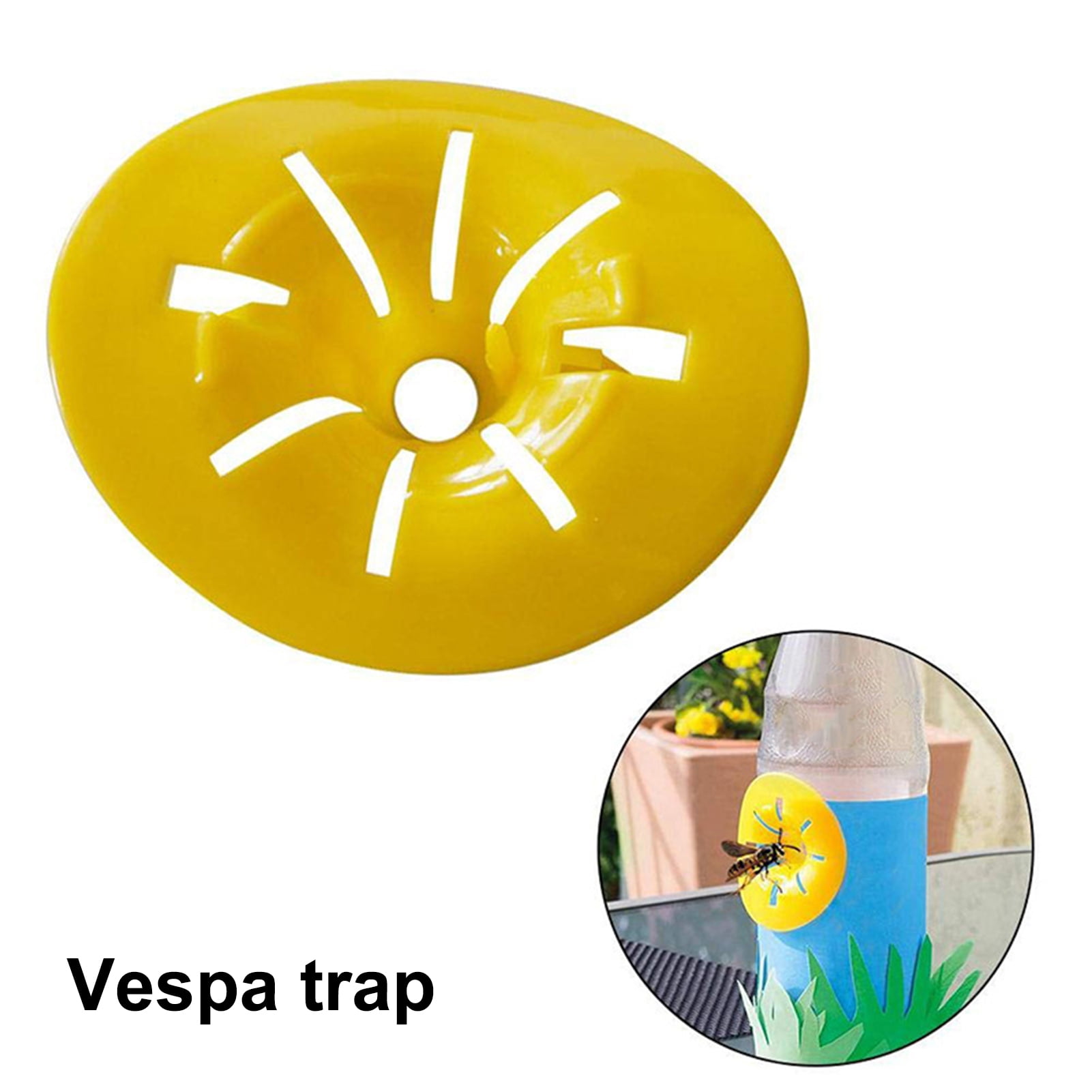Yellow Jacket And Wasp Trap