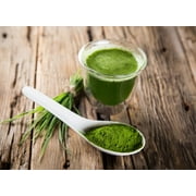 Organic Green Spirulina Powder, 0.25 Pounds — Non-GMO, Kosher, Raw, Vegan — by Food to Live