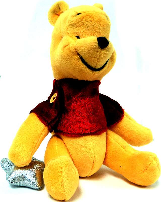 teddy winnie the pooh