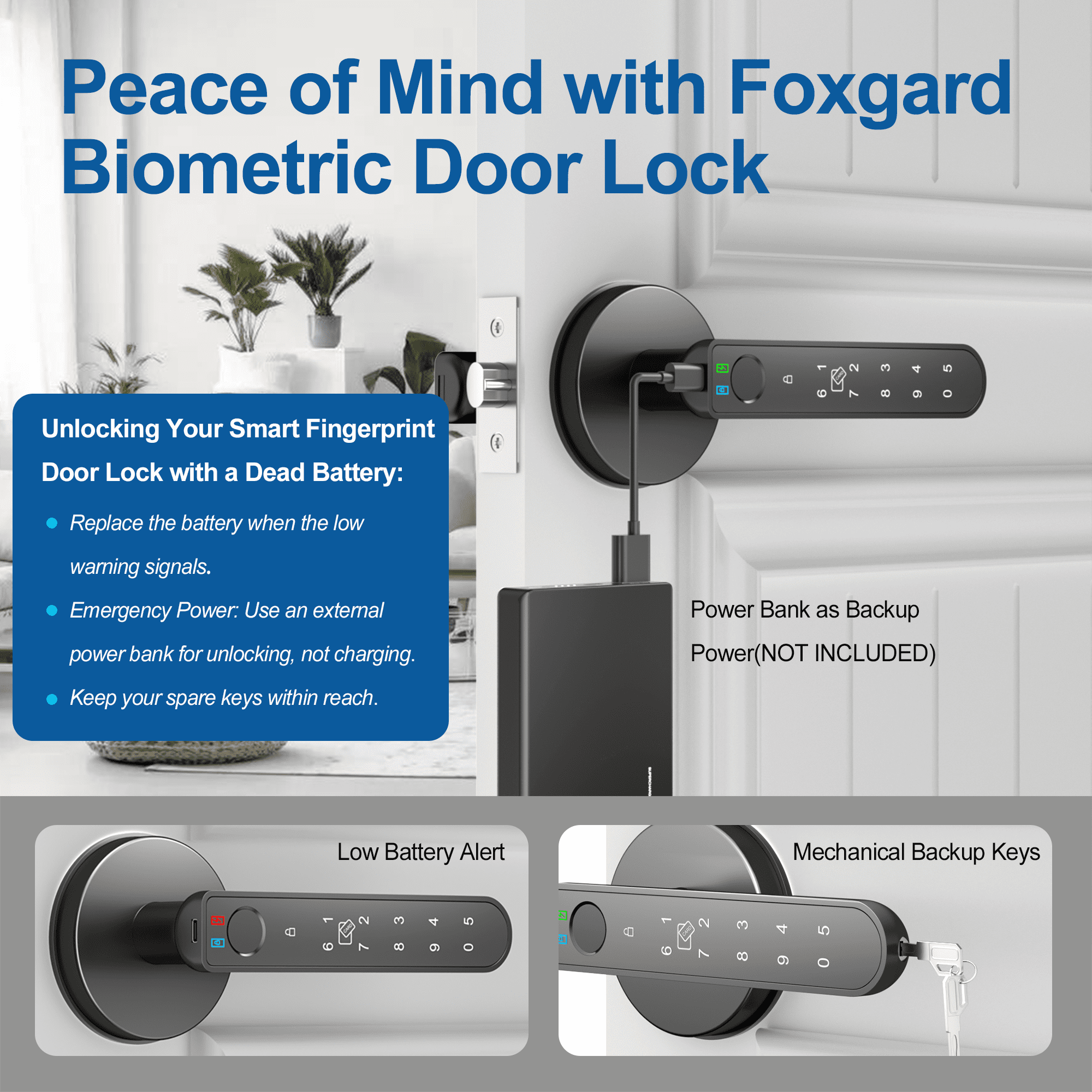 Foxgard Fingerprint Door Lock, Smart Door Knob with APP Control, 100 Fingerprints Biometric Door Lock with Tuya App, Black