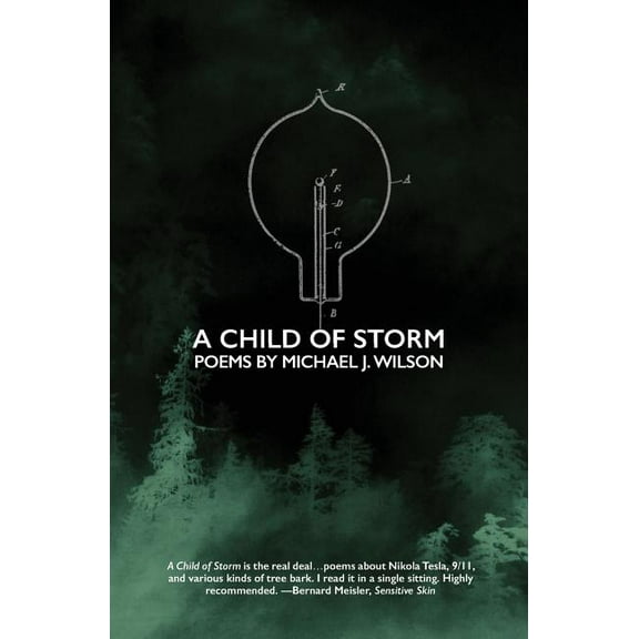 A Child of Storm: Poems by Michael J. Wilson, (Paperback)