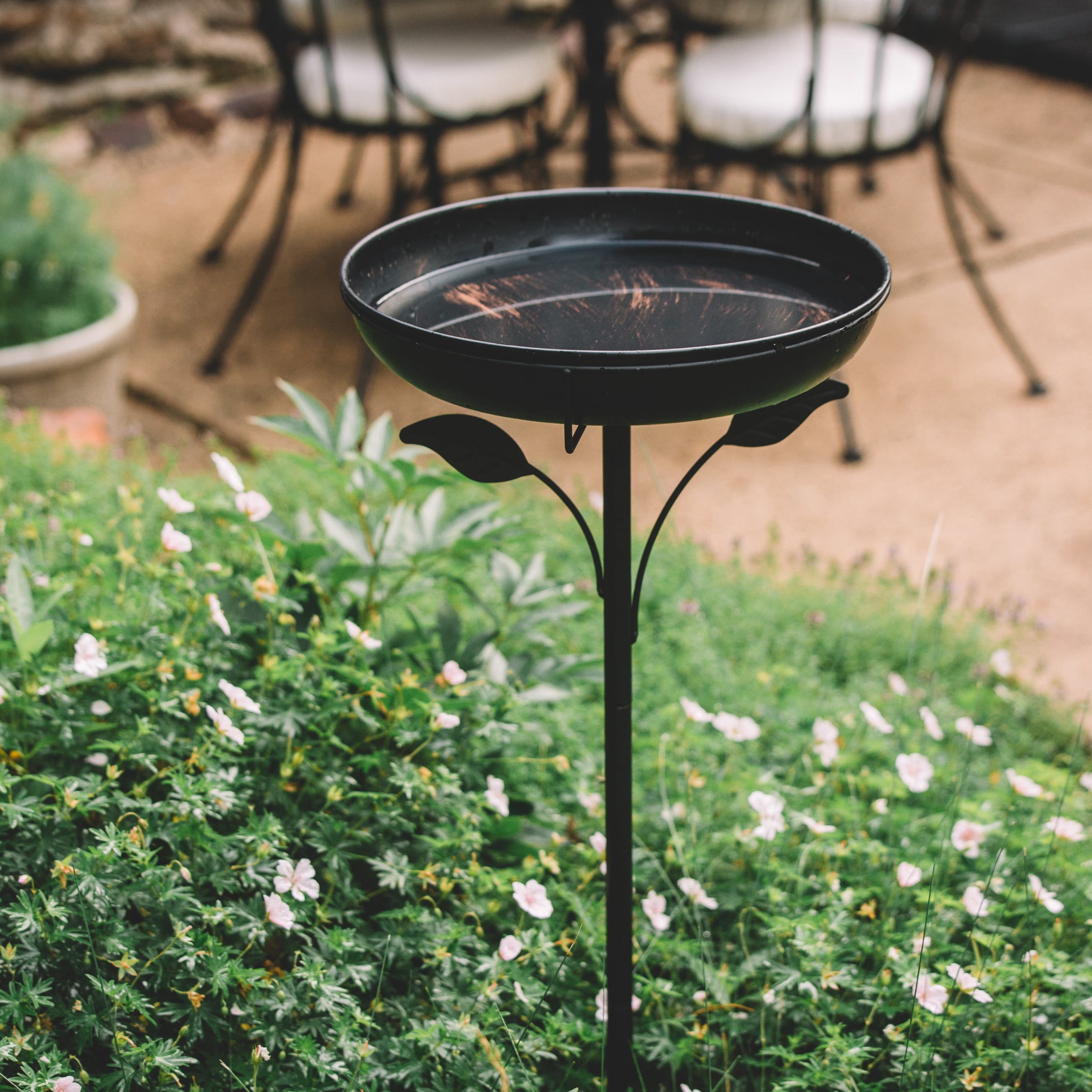 Backyard Expressions Decorative Metal Garden Bird Bath with Leaf Accent Pedestal - Antique Bronze Finish