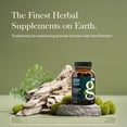 thumbnail image 3 of Gaia Herbs Prostate Health - Supports Prostate Health and Function for Men - With Saw Palmetto, Green Tea, Nettle Root, and White Sage* - 120 Vegan Liquid Phyto-Caps (60 Servings), 3 of 9