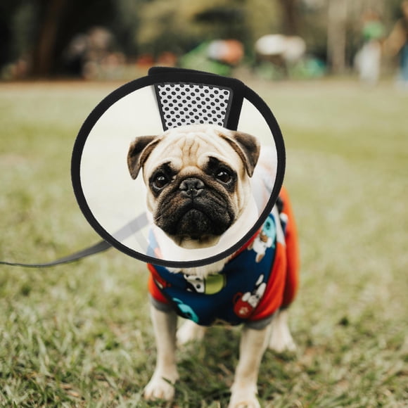 HONITANO Durable Silver ABS Material Dog Cone Collar for Pets to Stop Licking and Biting