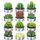thumbnail image 4 of Velas de té de cactus velas de plantas suculentas en forma de planta para el hogar ANGGREK Otros, 4 of 8