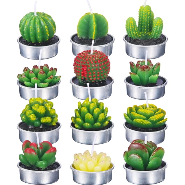 12 velas de plantas suculentas, delicadas velas suculentas para fiestas, bodas, spa, decoración del hogar, regalos
