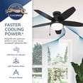 thumbnail image 3 of Hunter 44 inch Indoor Ceiling Fan with LED Light - White Ceiling Fan with Pull Chain, For Bedroom, Living Room, or Kitchen, Low Profile Mount, No Remote, 5 Blades - Lilliana 51224, Fresh White, 3 of 15
