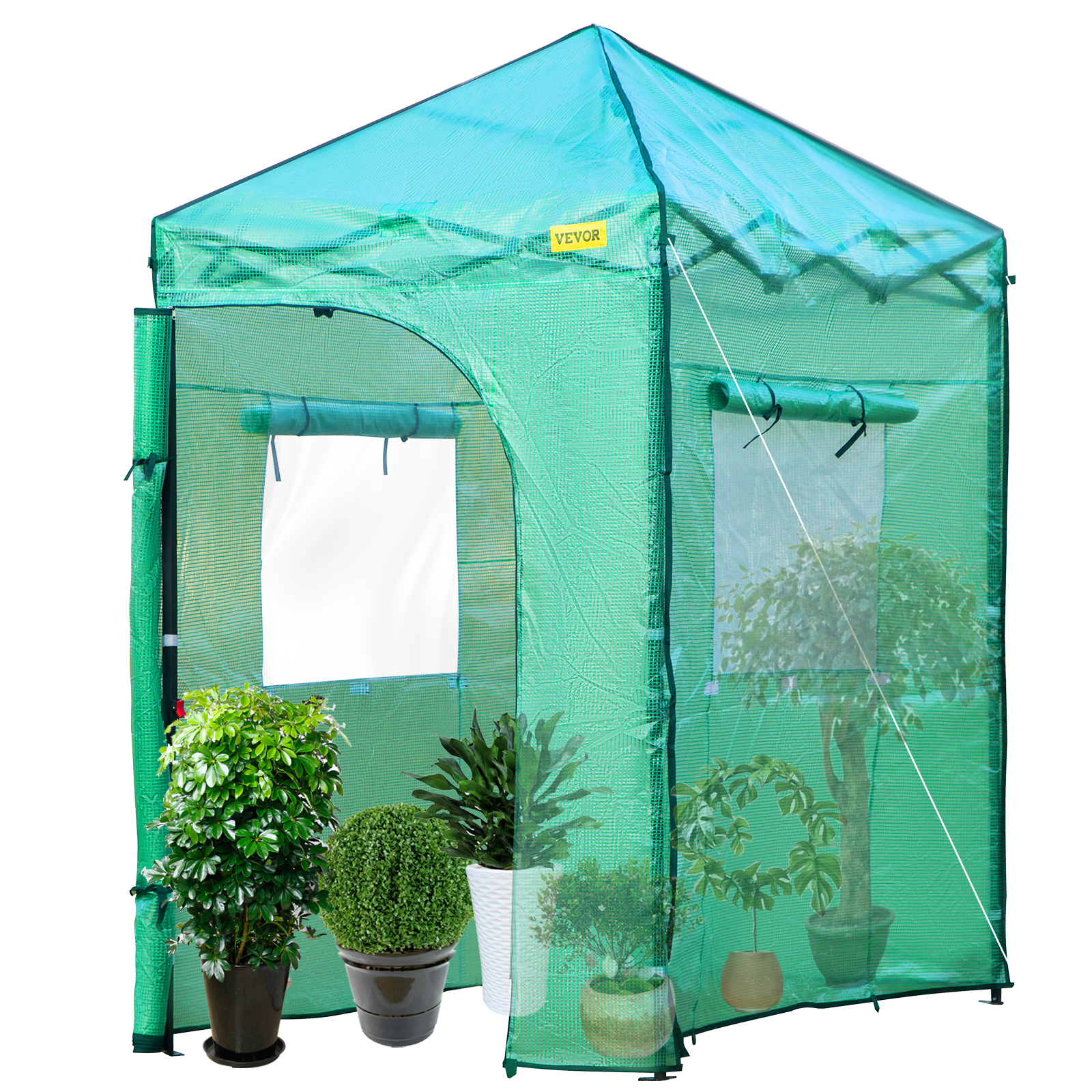 VEVOR Greenhouse Portable Walk-in Hot Green House Tent 6' x 4' x 8' Plant  Garden