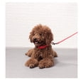 thumbnail image 5 of Collares duraderos ajustables para mascotas para perros, collar para perros, 5 of 5