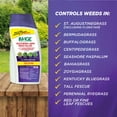 thumbnail image 6 of Image Southern Lawn Weed Killer Herbicide, 32 oz. Concentrate, 6 of 24