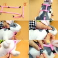 thumbnail image 4 of Walbest Lightweight Pet Rabbit Harness Leash Soft Pet Supplies, Portable Buckle Design, Running,Walking Jogging Harness Leash for Bunny, Cat, Kitten,Ferret,Guinea Pig,Puppy and Other Small Pet Animals, 4 of 7