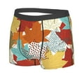 thumbnail image 2 of Bingfone Fall Maple Leaves Men'S Underwear - Casual Stretch Boxer Briefs-Small, 2 of 9