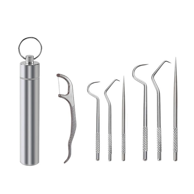 Portable Toothpicks Set Reusable Stainless Steel Toothpicks with Holder for Outdoor Picnic and Camping