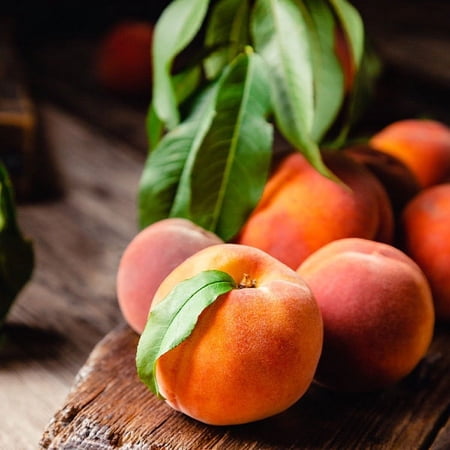 Brighter Blooms - 2-in-1 Peach Tree, 4-5 ft. - No Shipping To AR,AZ,CA,ID,LA,OR,WA