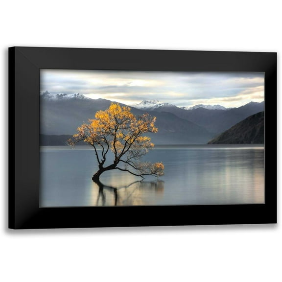 Michael Cahill 14x11 Black Modern Framed Museum Art Print Titled - Undisturbed