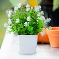 thumbnail image 5 of 2PCS Artificial Potted Small Greenery,Realistic Mini with Flowers for Indoor Home Decor,Desktop Table Centerpiece for Bathroom,Farmhouse Displays,Mother's Day,Christmas Gifts, 5 of 6