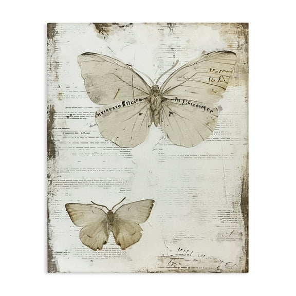Stupell Industries Butterfly Journal Collage Animals Painting Wrapped Canvas Art Print Wall Art, 16 x 20