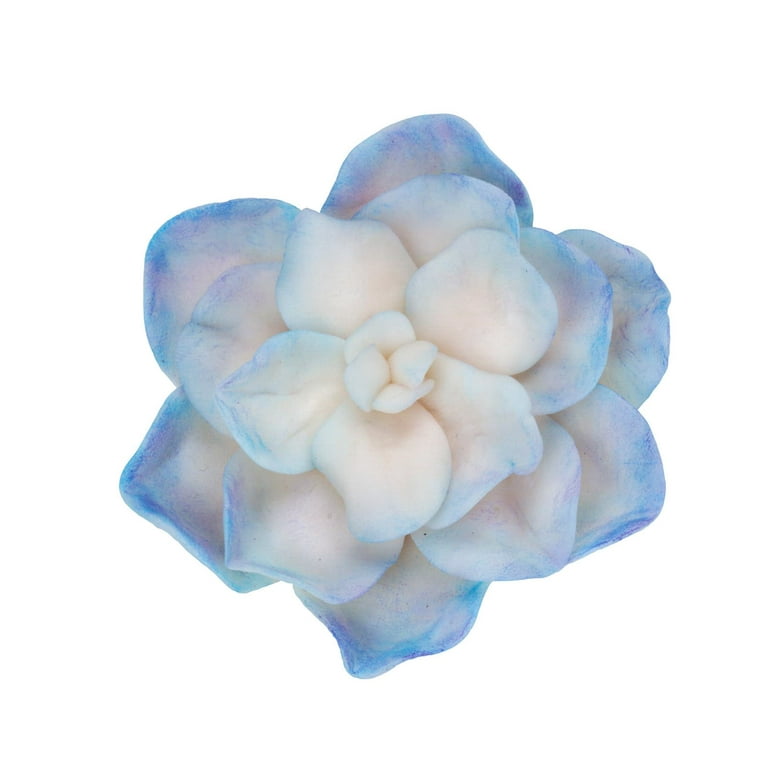  MODOH Air Dry Flexible Porcelain Clay White, 1.1 lbs (500g), Cold Clay for Flower Making, Porcelana Fria para Modelar, horno para  porcelana