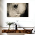 thumbnail image 3 of Elephant Stock White Horse Eye Wall Art - Horizontal Canvas Wall Art - Living Room Wall Decor - Animal Canvas - Beige And Gray Decor - 39" x 26", 3 of 8