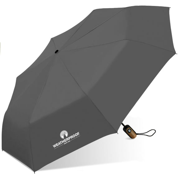 Weatherproof 54in Deluxe Two Person Rain Umbrella, Auto Open and Close, Windproof, Carabiner