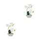 thumbnail image 3 of Matsuzay Orquídea artificial flores falsas en maceta simuladas Blanco 2Conjunto, 3 of 6