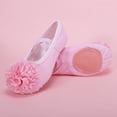 thumbnail image 6 of jianru Ballet Shoes for Girls Elastic Straps Non Slip Soft Sole Floral Canvas Professional Dance Shoes for Toddler Kids, 6 of 8