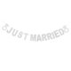 thumbnail image 4 of unbranded Guirnalda Plateada Para Con Glitter Just Married Para Ambiente Romántico, 4 of 6