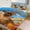 chudan-3, variant on 3PCS Happy Dog Duvet Cover Set Twin, 1 Duvet Cover And 2 Pillowcase, Duvet Cover for Kids Girls Boys And Teens