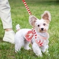 thumbnail image 2 of Dog Harness and Leash Set with Bags Striped Lace No Pull Girl Dog Vest Harness Mesh Puppy Harness for Small Medium Dogs Cats Adjustable Pet Harness, 2 of 8