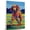 Afghan Hound, variant on Tibetan Spaniel Dog Golf Stretched Canvas Size 8x12 – Funny Tibetan Spaniel Dog Playing Golf Canvas Wall Art for Sports Lovers, Pet Lovers, Home Decor