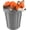 Red Fox with Trash Can, variant on 3D Printed Articulated Red Fox Poseable Woodland Animal Figurine, Cute Desk Décor & Collectible