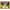 Mastic, variant on 25x23 Bamboo Brown Real Wood Picture Frame Width 3 inches | Interior Frame Depth 0.5 inches | Haru