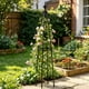 thumbnail image 1 of Planting Basket Gardening Flower Stand Assembly Climbing Vines Stand Outdoor Flower Rack Plants Flower Rack, 1 of 7