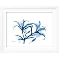 thumbnail image 2 of Art.com Indigo Starfire Lily Premium Giclee Print by Albert Koetsier, White Frame Wall Art, 40" x 32", 2 of 5